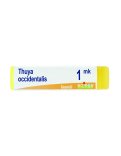 Thuya Occidentalis MK Globuli Monodose Boiron