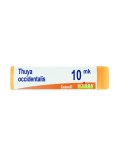 Thuya Occidentalis XMK Globuli Monodose Boiron