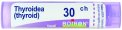 Thyroidea 30Ch Gr