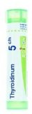 Thyroidea 5Ch Gr