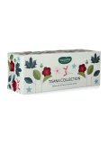 Tisana Collection - Cofanetto in Legno Azzurro con Tisane e Infusi Bio in Filtro
