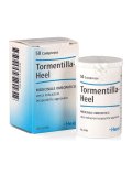 Tormentilla Heel 50 Compresse
