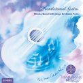 Translational Guitar — CD