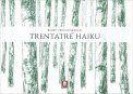 Trentatre Haiku — Libro