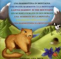 Una Marmottina in Montagna  — Libro