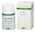 Uva Ursina - Capsule