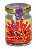 Vaniglia Polvere