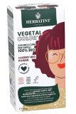 Vegetal Color - Colorante Naturale per capelli