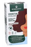 Vegetal Color - Colorante Naturale per capelli