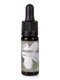 Vervain Dose