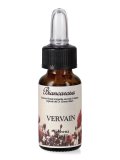 Vervain - Fiori di Bach