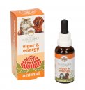 Vigor & Energy Animal