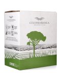 Vino Bianco Catarratto Biologico - Terre Siciliane IGT