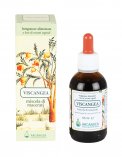 Viscangea - Miscela di Macerati