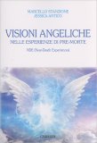 Visioni Angeliche nelle Esperienze di Pre-Morte Nde — Libro