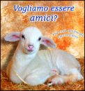 Vogliamo Essere Amici? — Libro