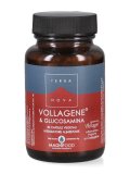 Vollagene® e Glucosamina