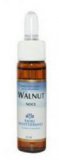 Walnut - 10 ml