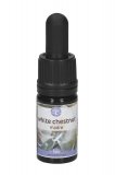 White Chestnut - Soluzione Madre