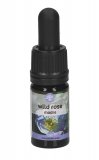 Wild Rose - Soluzione Madre