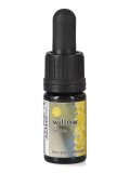 Willow - Soluzione Madre