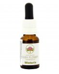 Wisteria - Fiori australiani - 15 ml