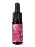 Yarrow - Fiori californiani - Dose