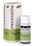 Ylang-ylang - Olio Essenziale Bio