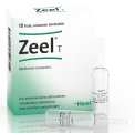 Zeel® T Heel 10 Fiale da 2 ml