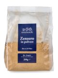 Zenzero in Polvere