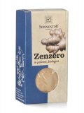 Zenzero in Polvere