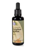 Ziziphus Jujuba Semi - Gemmoderivato
