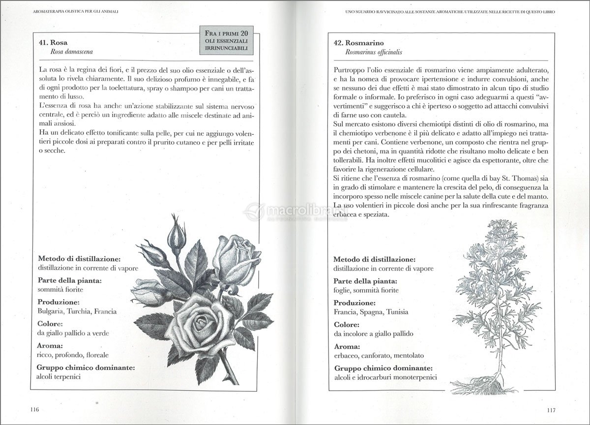 Aromaterapia olistica per gli animali. Guida completa all'impiego di oli  essenziali e idrolati con cani, gatti, cavalli e altri animali di Kristen  Leigh Bell - 9788867731015 in Aromaterapia e oli essenziali