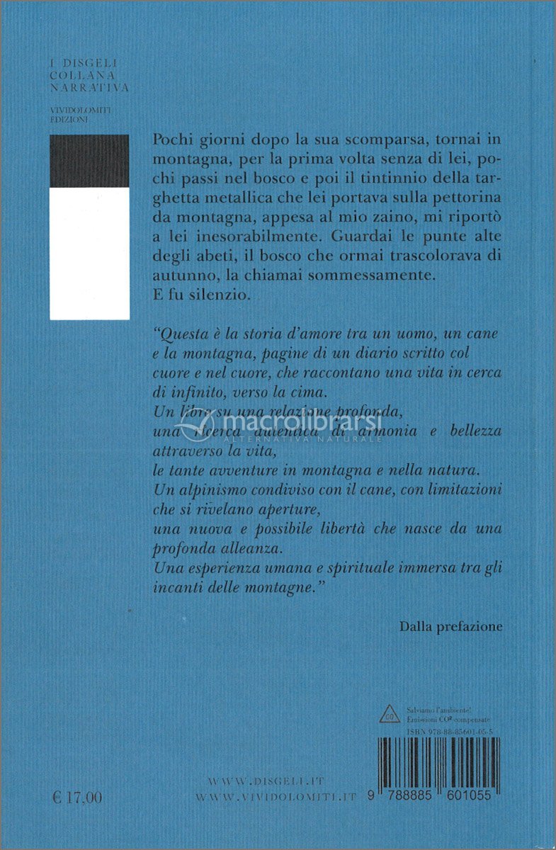 Aspettami sulla Cima — Libro di Giancarlo Pavan