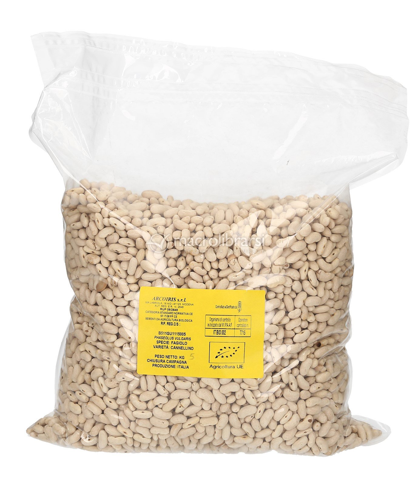 20 PCS semi di fagiolo vegetale semi Phaseolus vulgaris, fagiolini semi, fagioli di terra americane