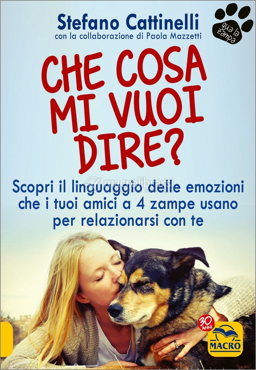 Cosa Vuol Dire Commento In Evidenza