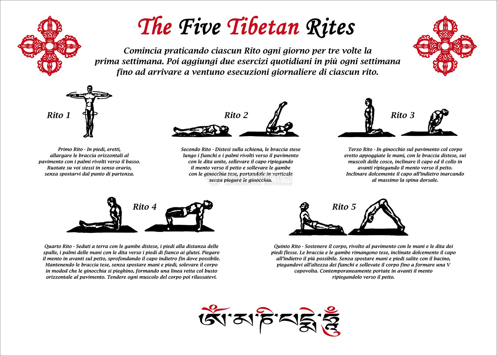 Cinque Tibetani The Five Tibetan Rites Poster