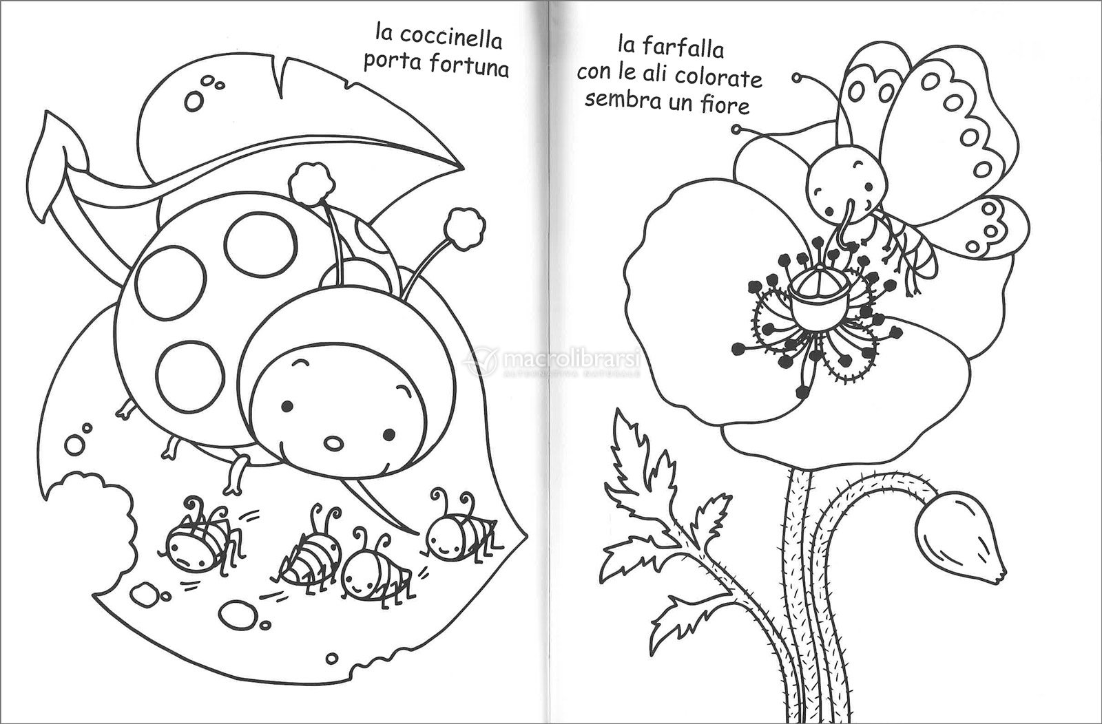 Coloro le Stagioni — Libro di AA. VV. Coloro le Stagioni — Libro di AA. VV.