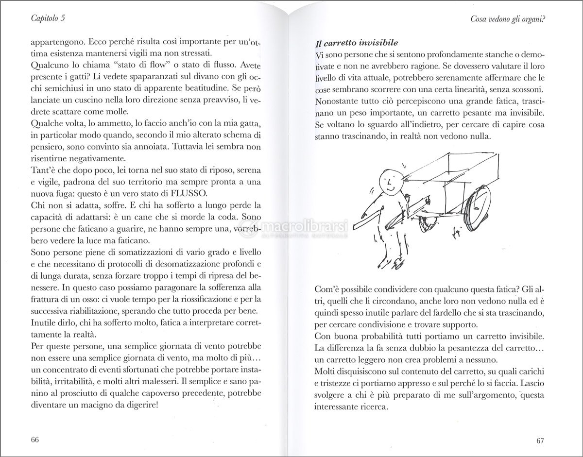 Il mio libro del tempo - Prodotto - PDE