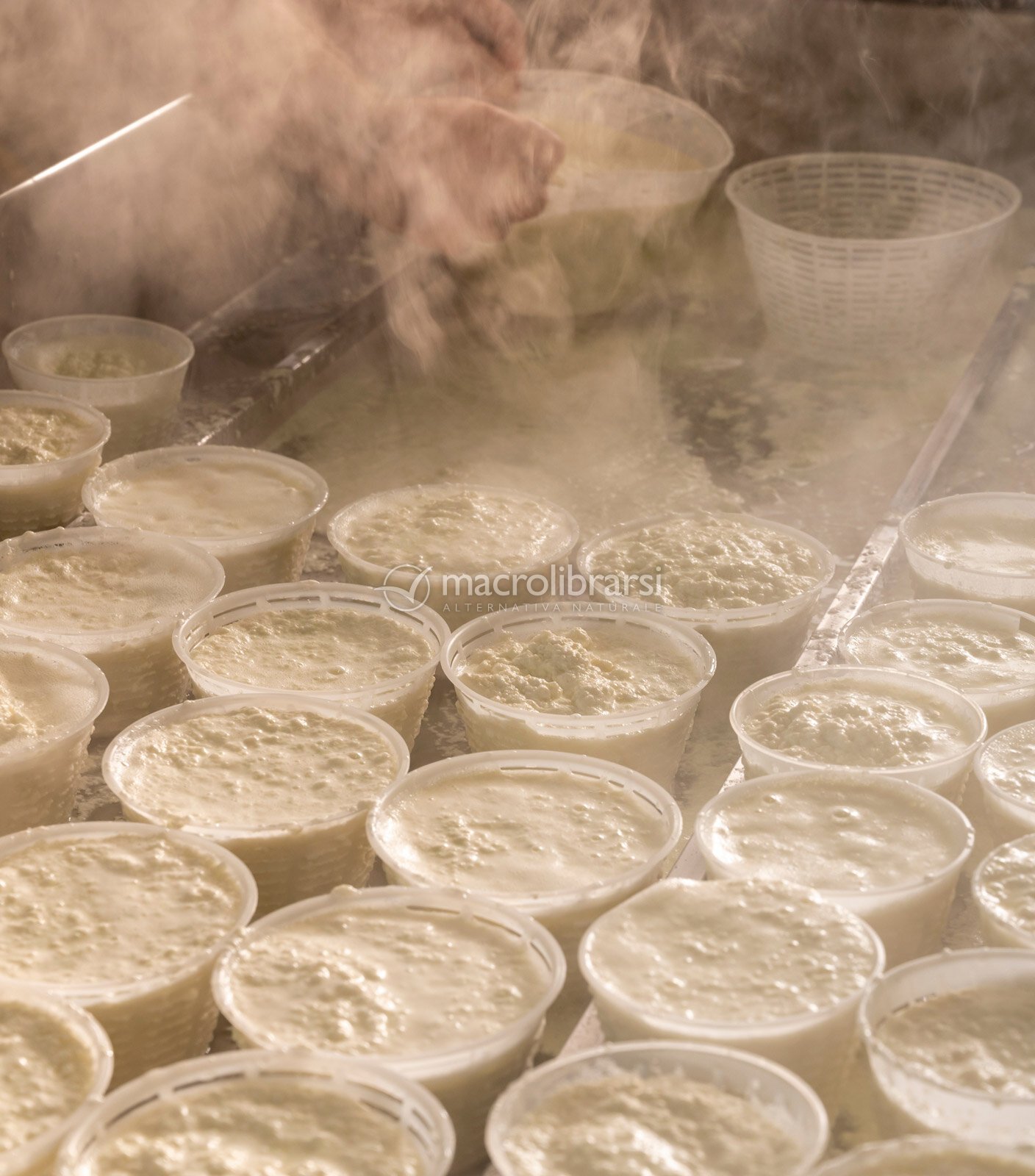 Fuscella per Formaggio e Ricotta di Tecnolatte 