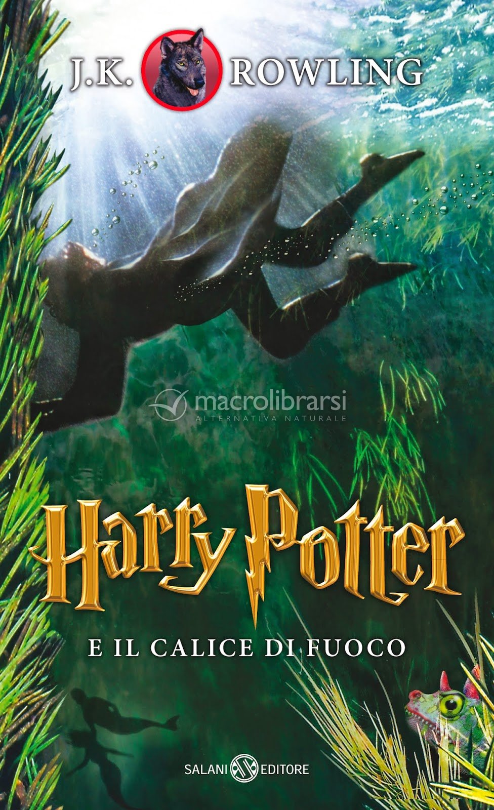 Harry Potter E Il Calice Di Fuoco Edizione Castello