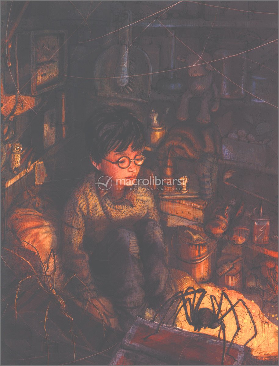 Prezzo Libro Harry Potter E La Pietra Filosofale