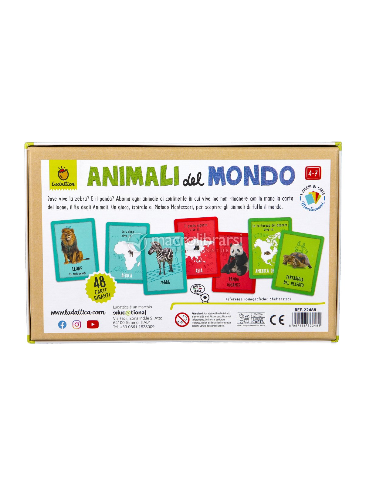HABA 306560 – Gioco Di Carte Animali Del Mondo – Educativo E Divertente, Dai 6 Anni – Made In Germany