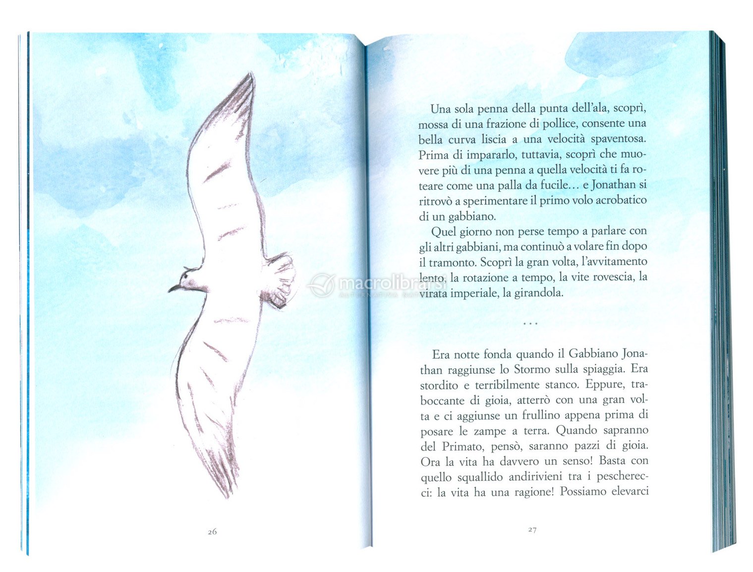 Il Gabbiano Jonathan Livingston - Edizione Speciale — Libro di