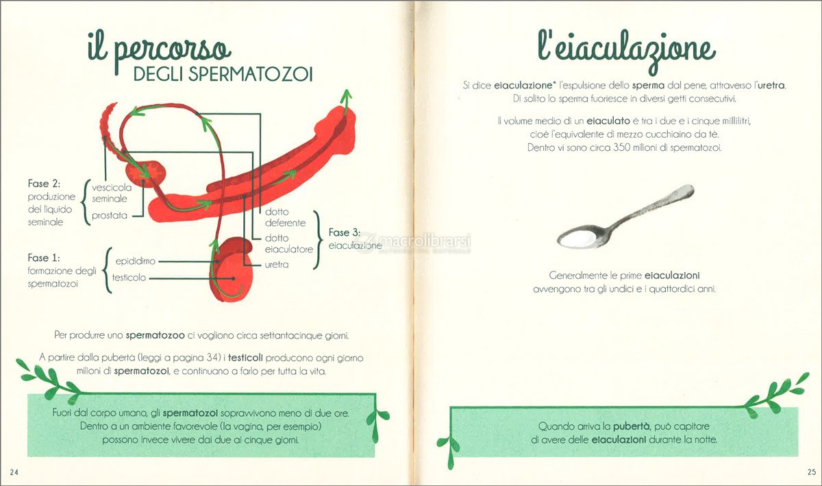 Il Mio Primo Libro dell'Intimità - Lui di Gallucci Editore 