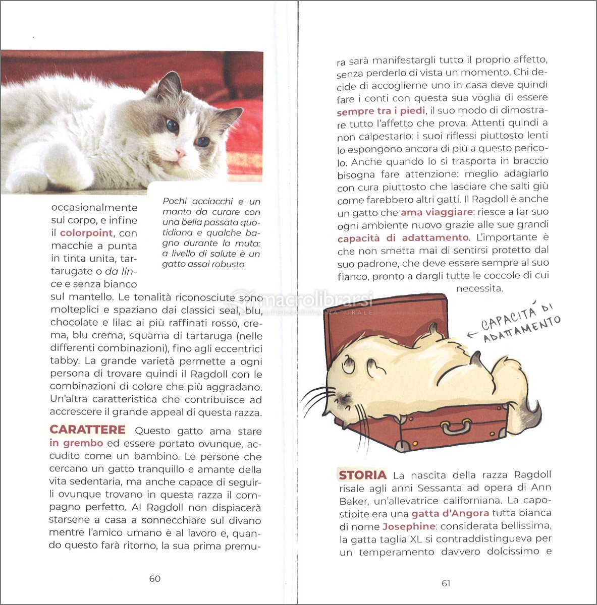 Il Piccolo Grande Libro dei Gatti — Libro di Virginia Perini