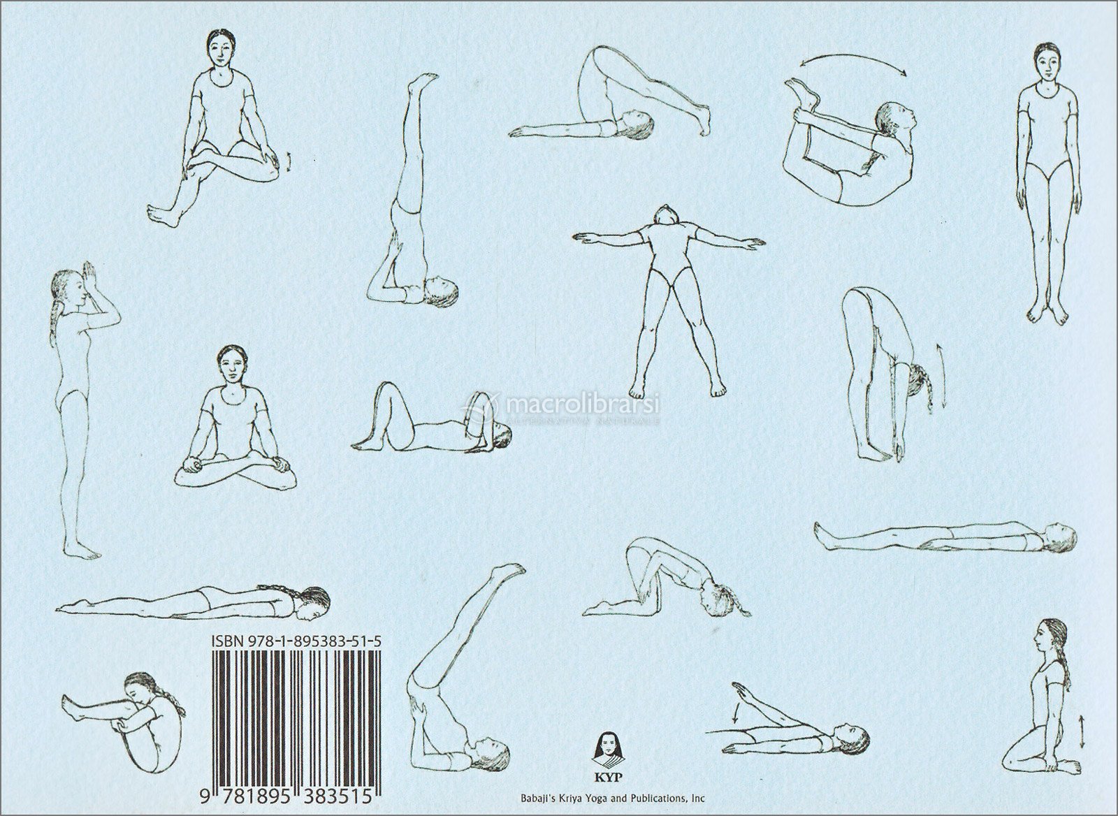 Other Publications - Yoga Theory Applied