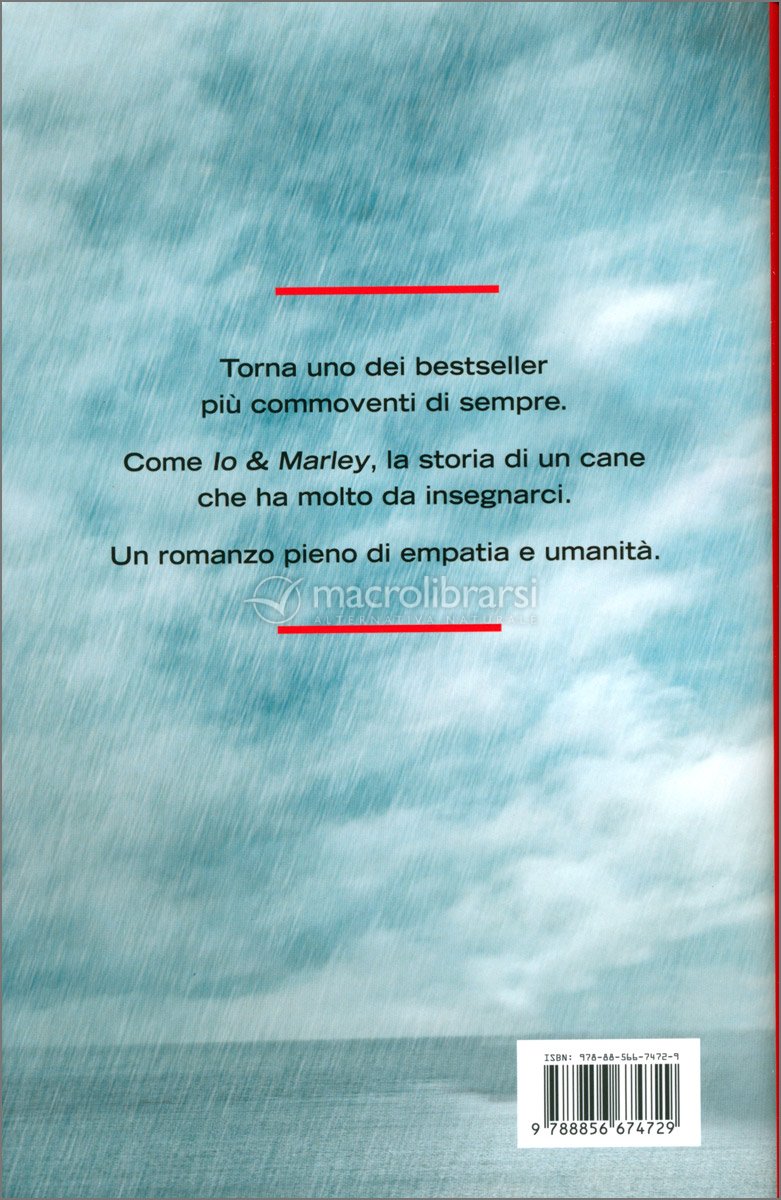 L'Arte di Correre Sotto la Pioggia — Libro di Garth Stein
