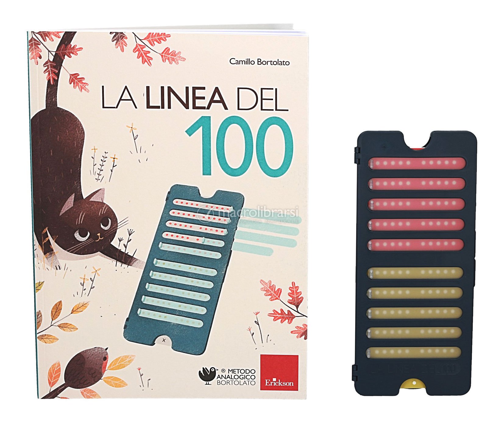 La Linea del 100 - Scuolainsoffitta