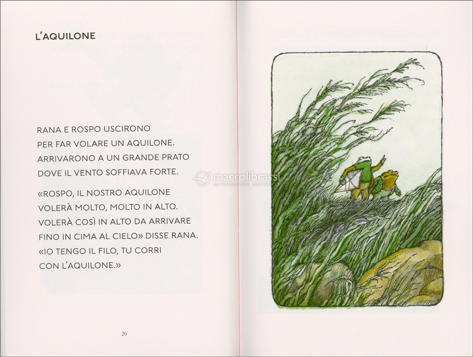 Statua Da Giardino In Pietra A Forma Di Rana / Scultura Di